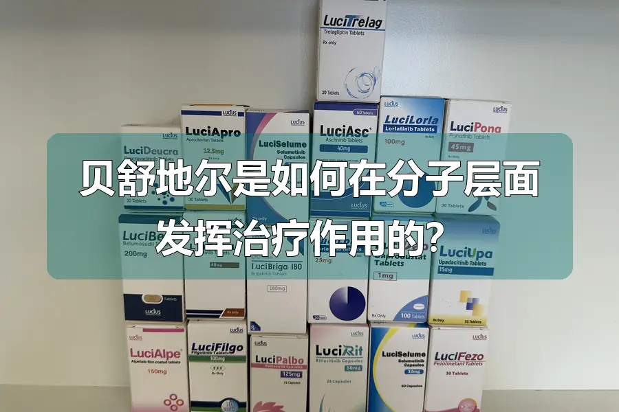 贝舒地尔是如何在分子层面发挥治疗作用的?